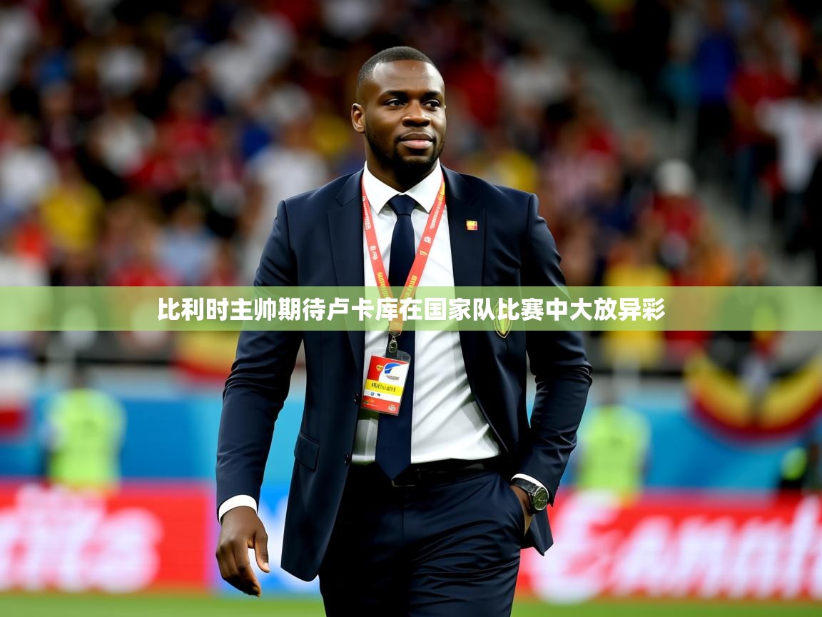 2025九游娱乐网站赞助的不莱梅比利时主帅期待卢卡库在国家队比赛中大放异彩  第2张