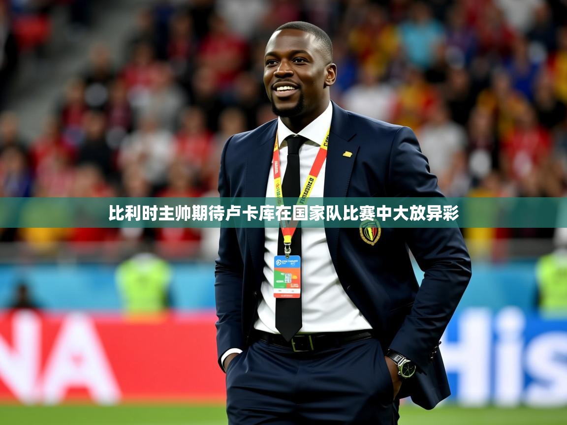 2025九游娱乐网站赞助的不莱梅比利时主帅期待卢卡库在国家队比赛中大放异彩  第3张