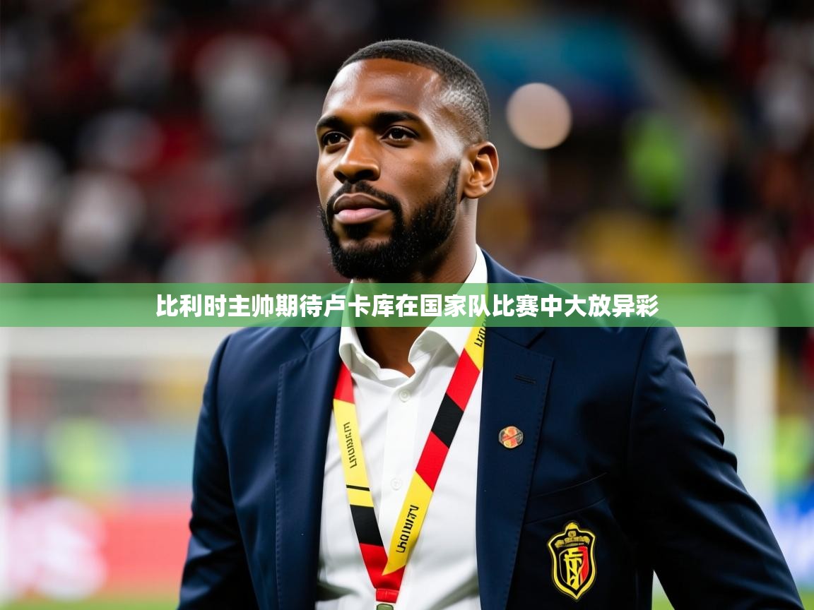 2025九游娱乐网站赞助的不莱梅比利时主帅期待卢卡库在国家队比赛中大放异彩  第4张
