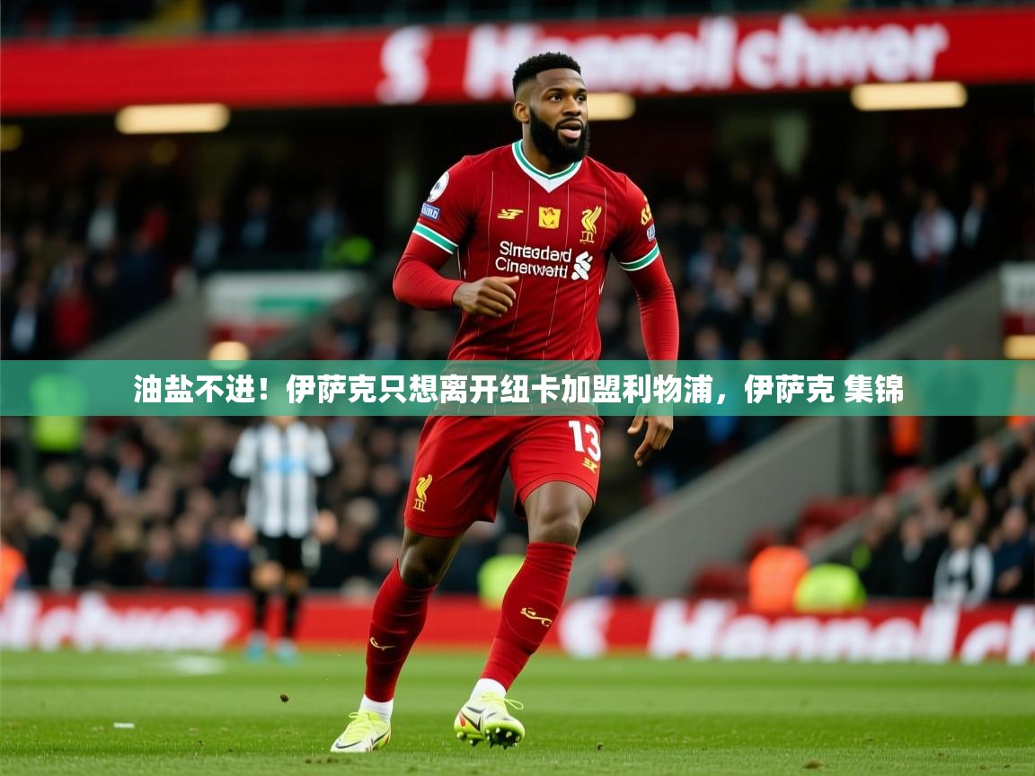 2025九游娱乐官网油盐不进！伊萨克只想离开纽卡加盟利物浦，伊萨克 集锦  第2张