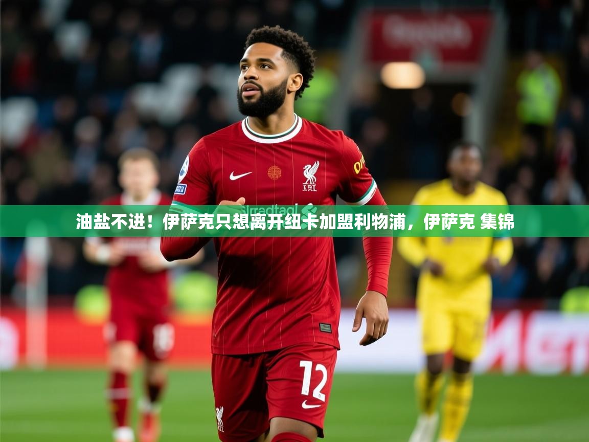 2025九游娱乐官网油盐不进！伊萨克只想离开纽卡加盟利物浦，伊萨克 集锦  第4张