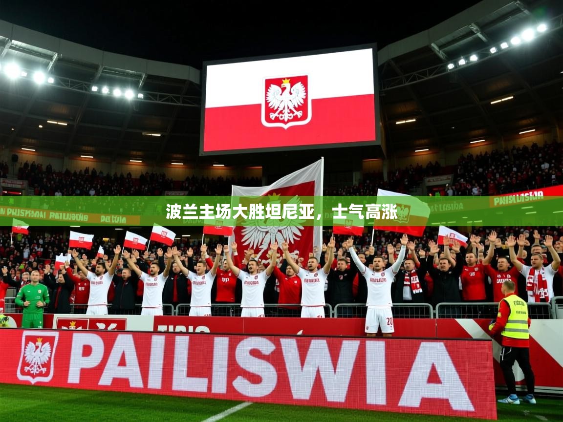 2026九游娱乐网站体验棒波兰主场大胜坦尼亚,士气高涨 第3张